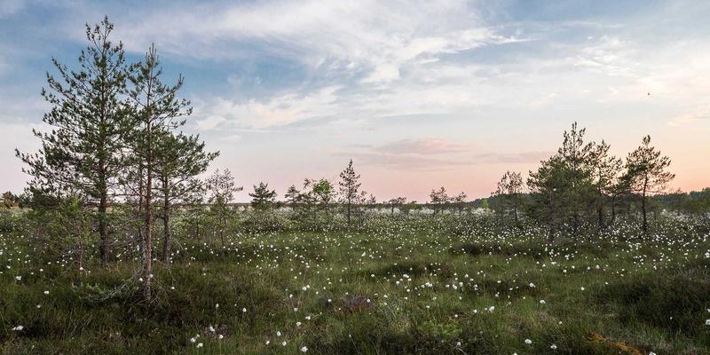 从便民服务到日式禅意：老旧小区改造如何重塑城市宁静生活