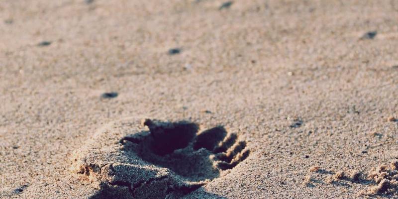 从断舍离到闲鱼变现：二手循环打造宁静生活的完整指南