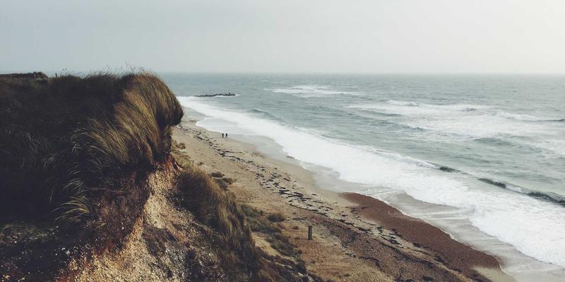 从邻里关系到社区资源：现代都市人如何构建宁静生活与信息服务平台