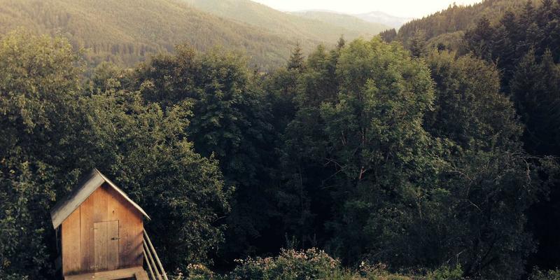 城市静音指南：融合日式禅意与绿色生活，打造居家宁静空间