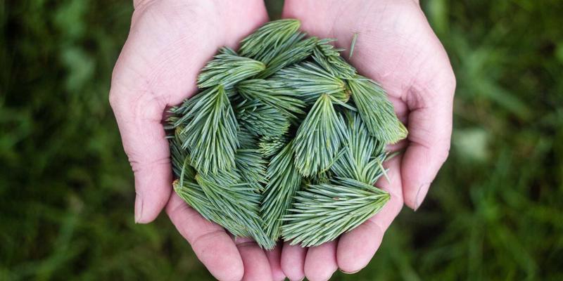 打造日式禅意数字档案库：绿色生活下的证件、照片与数据整理备份全攻略