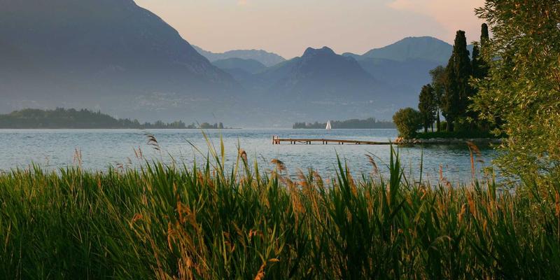 打造理想生活：城市“15分钟生活圈”实践指南，用便民服务与绿色理念提升品质