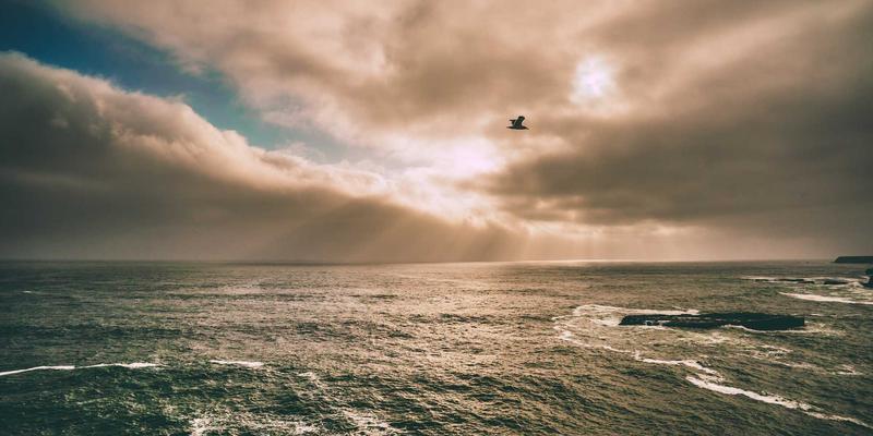 日式禅意：在喧嚣时代，如何用东方智慧构建宁静生活