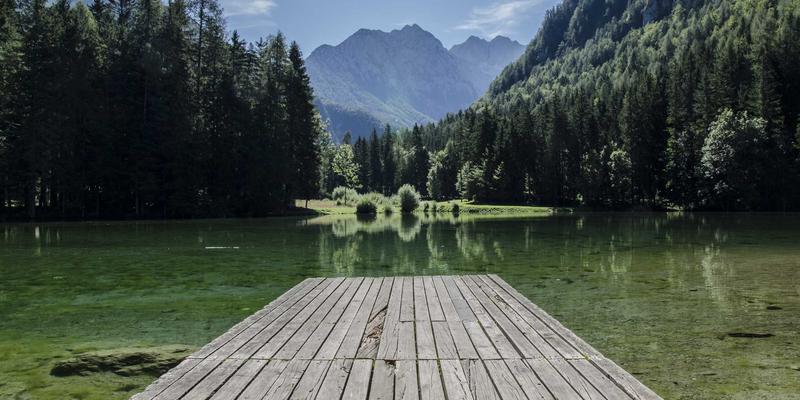 日式禅意:在现代都市中打造绿色宁静生活的艺术