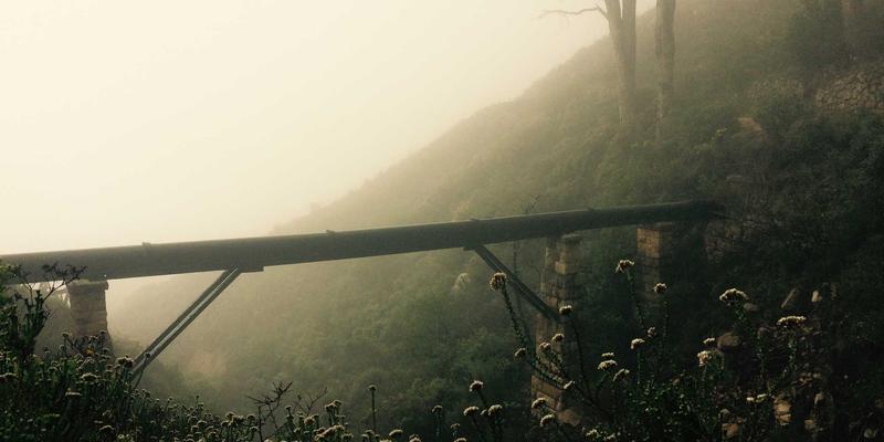 服务平台如何赋能绿色生活与宁静生活：现代都市人的平衡之道