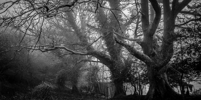 构建宁静生活与绿色生活的家庭应急储备：超越基础物资的可持续生存策略