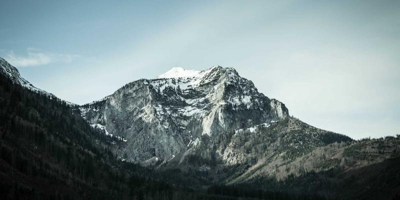 构建家庭弹性食品储备：绿色生活理念下的智慧采购与便民服务平台指南