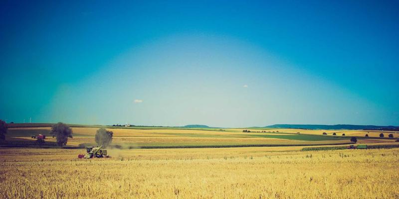 生活资讯61：巧用便民服务，构筑都市中的宁静生活