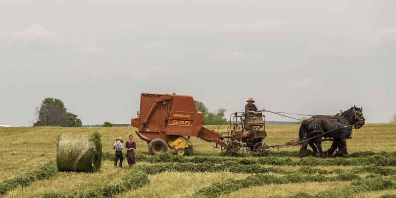 生活资讯93：在喧嚣中构筑日式禅意，重获宁静生活的艺术
