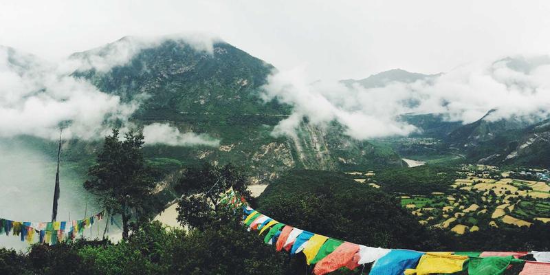 生活资讯怎么用？三大场景解锁便民服务与绿色生活新方式