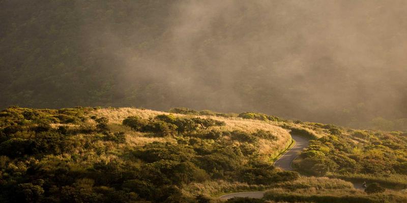 生活资讯服务平台：在信息洪流中构建你的宁静生活港湾