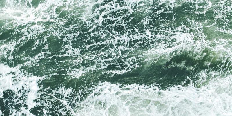 生活资讯服务平台：开启绿色生活新篇章的智慧导航