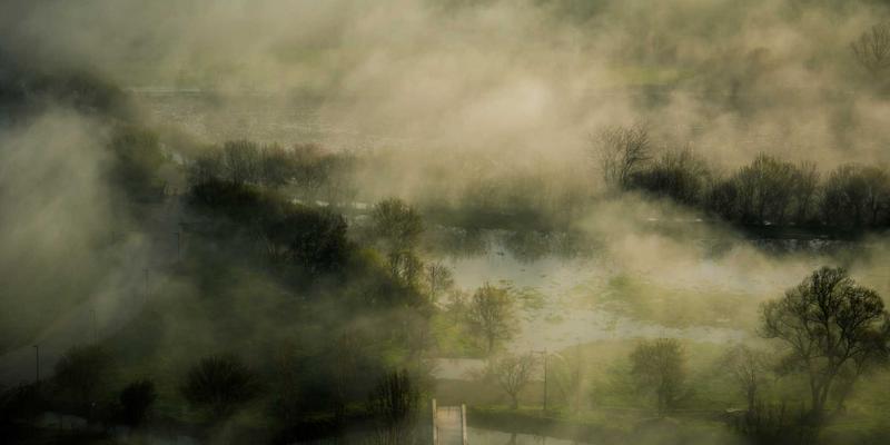 绿色生活服务平台：一站式生活资讯解决方案