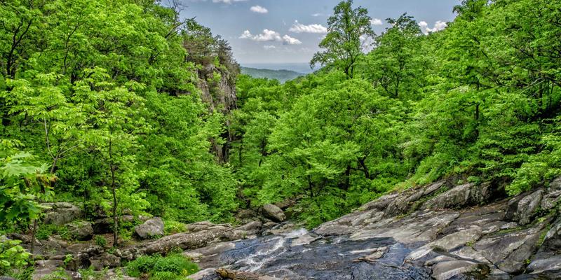 职场人的高效备餐法：周末三小时搞定一周健康午餐 | 生活资讯服务平台分享日式禅意饮食哲学