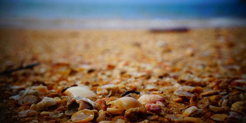 都市绿色生活应急指南：融入日式禅意的家庭物资储备方案