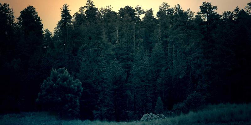 都市阳台微型农场：融合日式禅意的宁静生活实践指南