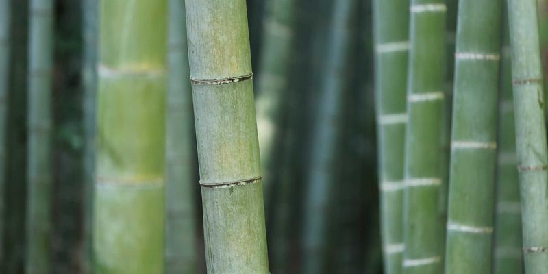 高效厨房收纳系统设计：打造绿色生活与宁静生活的服务平台